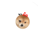 663835345