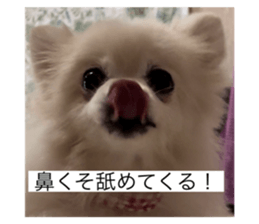 663969145