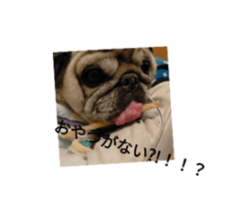 663979842