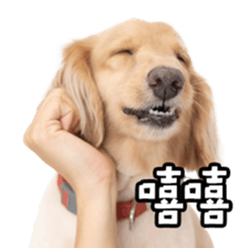 664006815