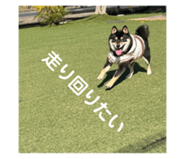 664037834