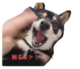 664037837