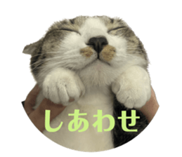 664038599