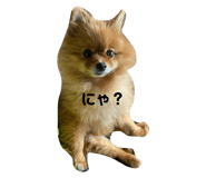 664040869