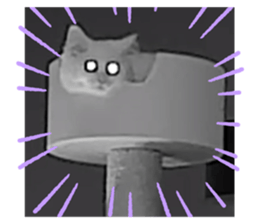 664100887