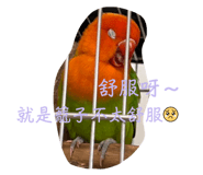 664109863