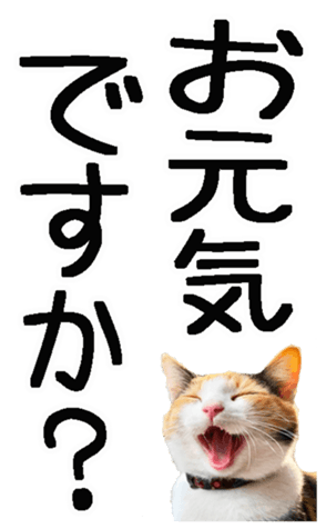 664120134