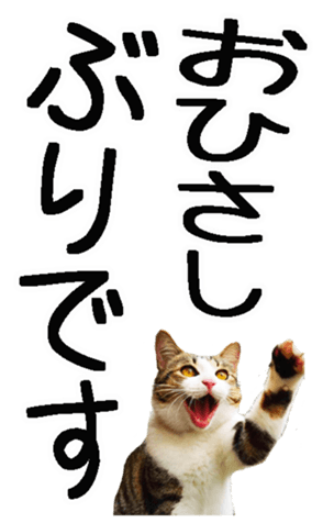 664120135
