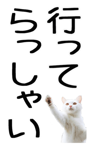 664120147