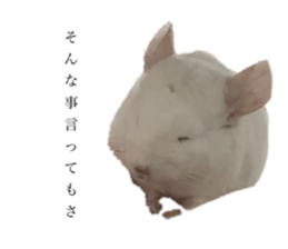 664146599