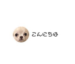 664180137
