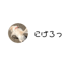 664180144
