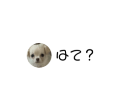 664180146