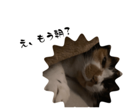 664199238
