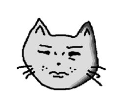 664255