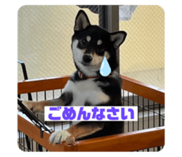 664296215