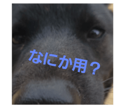 664327850