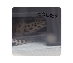 664329570