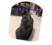 664362255