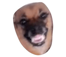 664371584