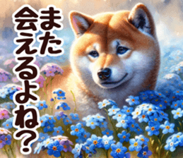 664418622
