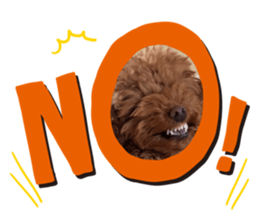 664436323