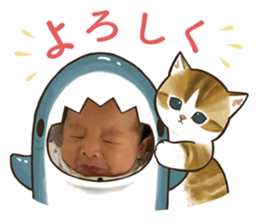 664436941