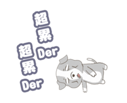 66443860