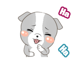66443874