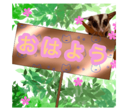 664443550