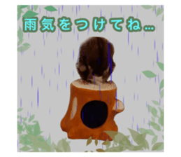 664443552