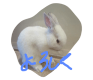 664465234