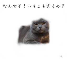 664467370