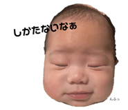 664493097