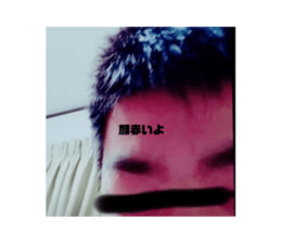 664543484