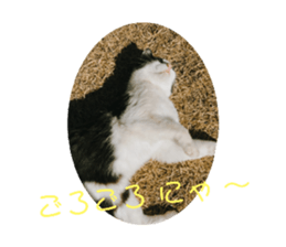 664557829