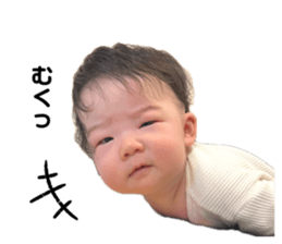 664557866