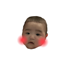 664558741