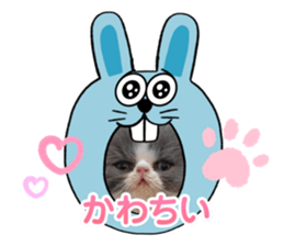 664564476