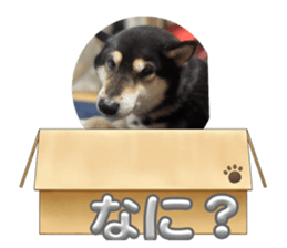 664566408