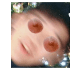 664566436