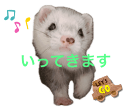664569668