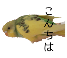 664577351