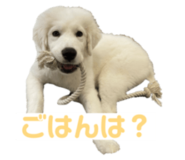 664583488