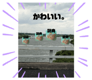 664593333