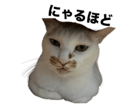 664594933