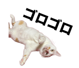664594940