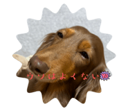 664602352