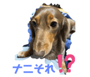 664602363