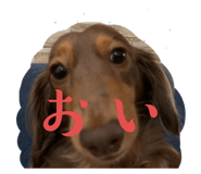 664602364